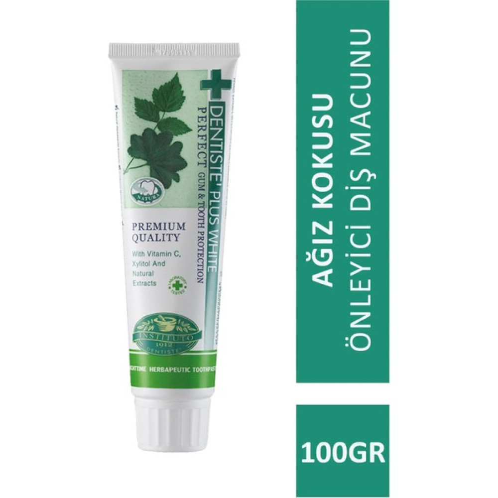 Dentise Plus Nighttime 100gr Diş Macunu Diş Macunları Fiyatı
