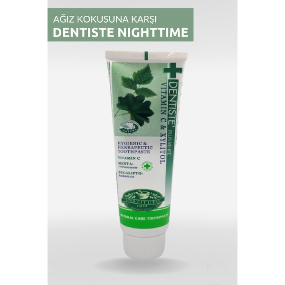 Dentiste Nighttime Ağız Kokusuna Karşı Bitkisel Diş Macunu Tüp 100 gr Diş Macunları Fiyatı