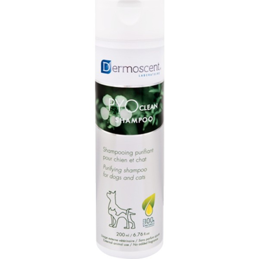 Dermocent Pyoclean Yatıştırıcı ve Arındırıcı Şampuan 200 ml Oto Boyaları Fiyatı