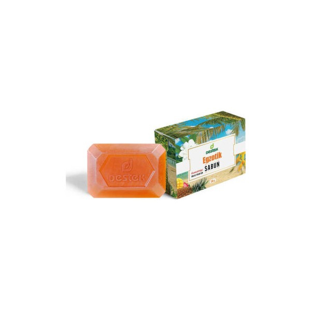 Destek Egzotik Sabun 150 gr Oto Boyaları Fiyatı