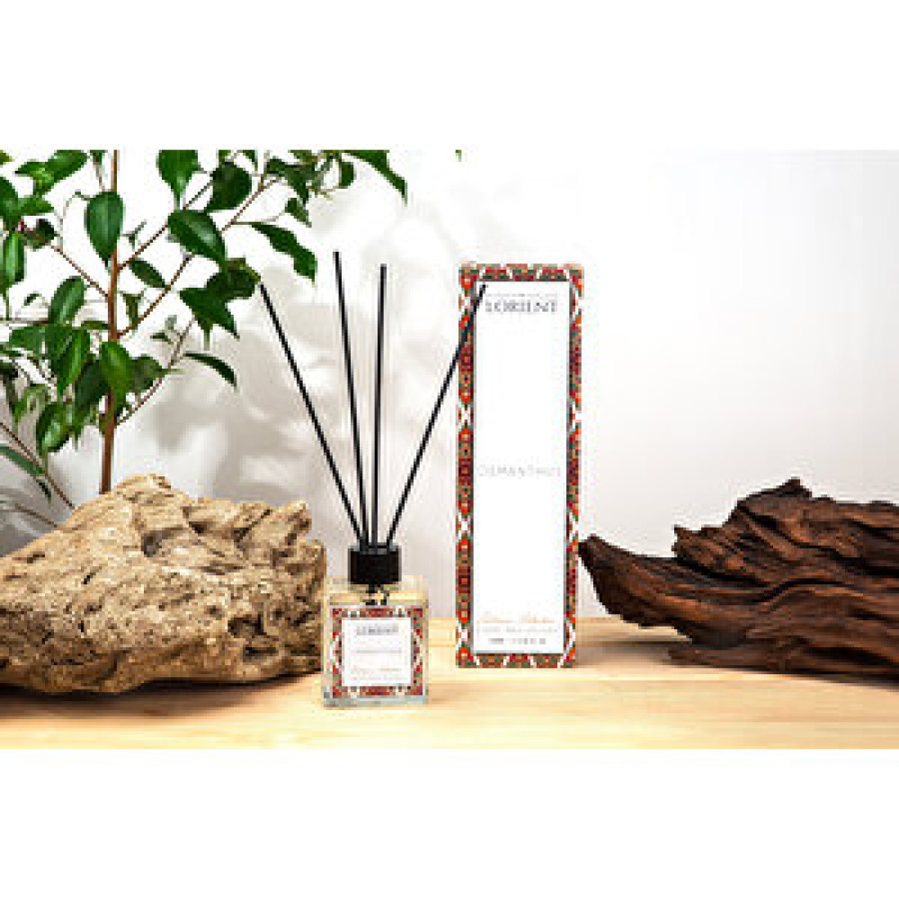 DFN Home Dfn Home Lorıent Osmanthus Çubuklu Oda Kokusu 100 Ml Oda Kokusu Fiyatı