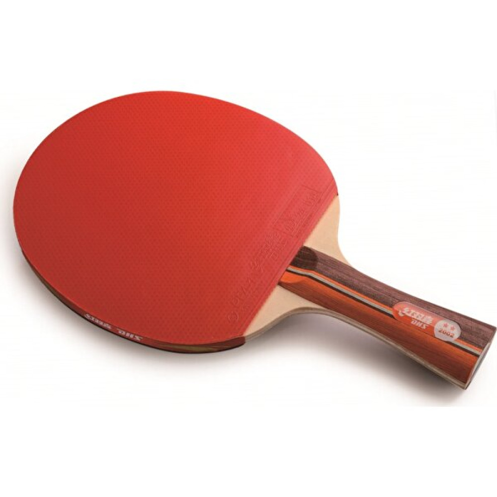 Dhs 2002 Masa Tenisi Raketi Tenis & Badminton Fiyatı
