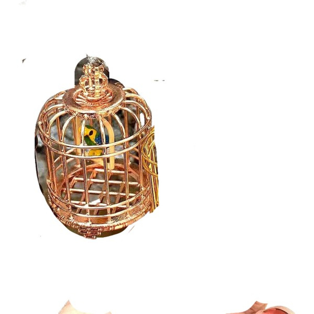 Diadi Minyatür Ev Eşyaları, Minyatür Oyuncaklar, Minyatür Kuş Kafesleri, Minyatür Bebek Evi Aksesuarları, Simüle Edilmiş Mini Kuş Kafesleri (Yurt D... Maket Fiyatı