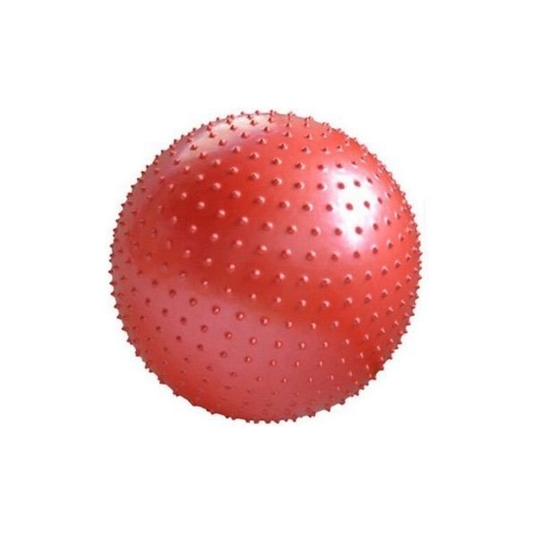 Dikenli Yoga Pilates Aeorobik Jimnastik Topu 55 cm SSD / Solid State Drive Fiyatı