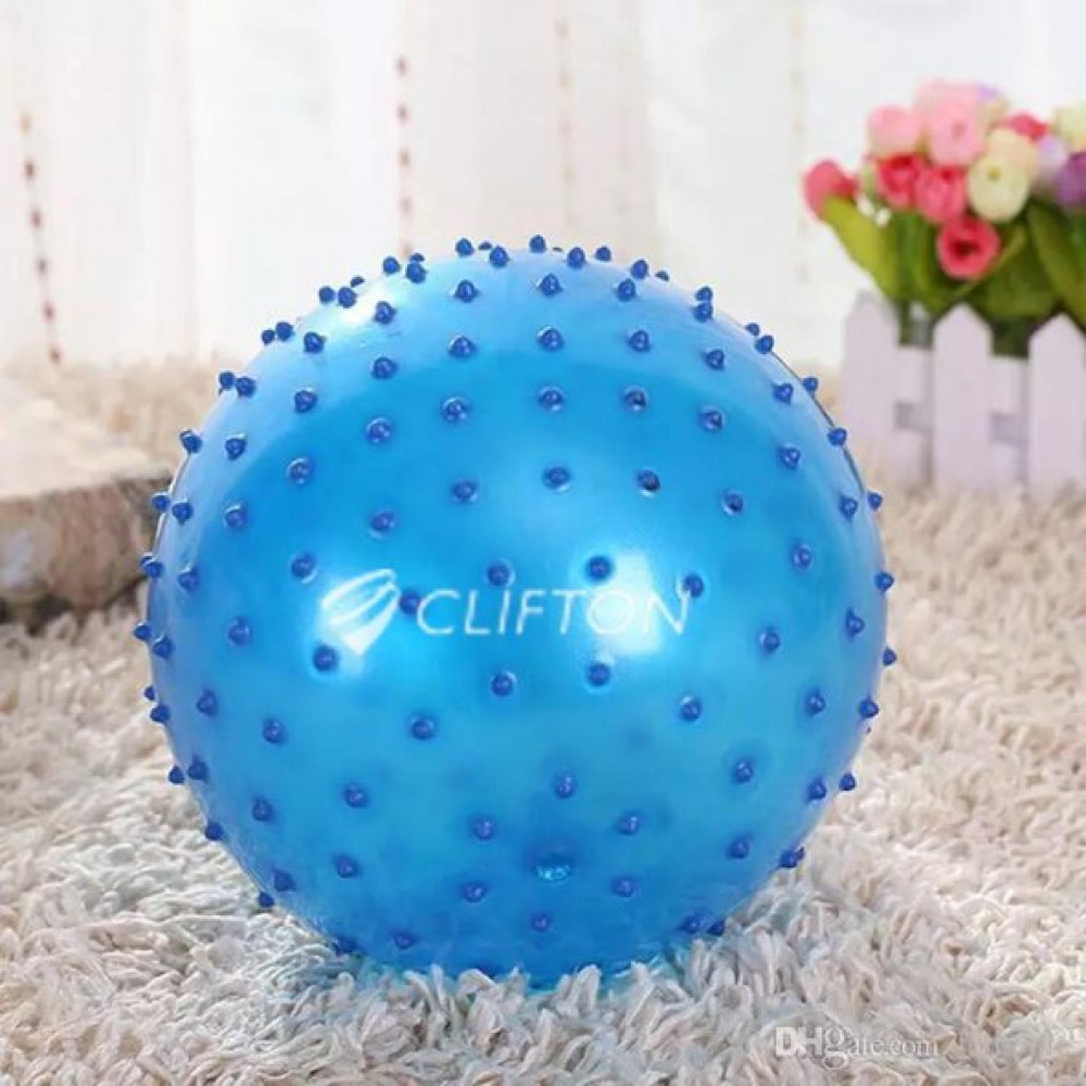 Dikenli Yoga Pilates Aeorobik Jimnastik Topu 65 Cm Mor Pompa Pilates Aletleri Fiyatı