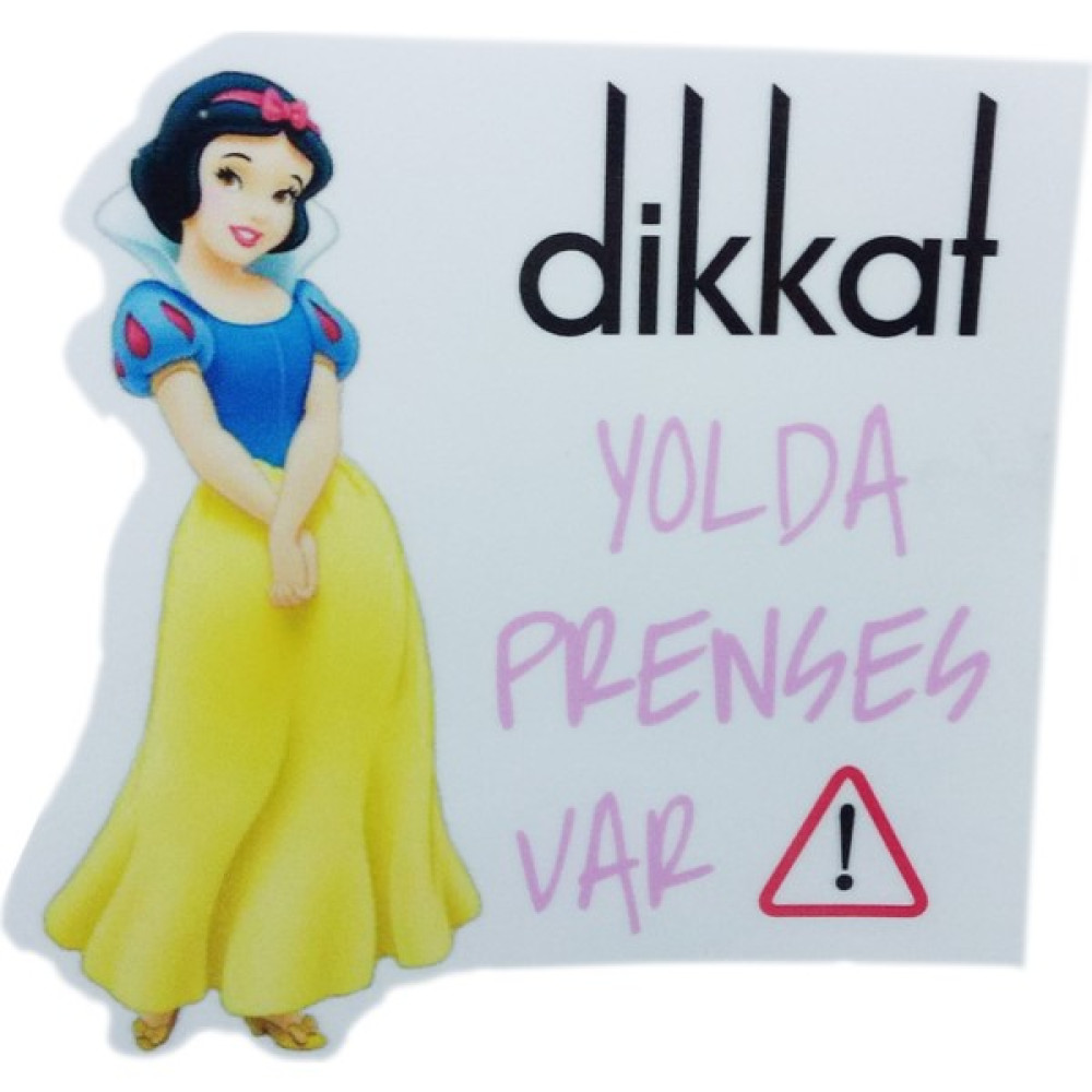 Dikkat Ajans Stic. Prenses Yolda Arabada Bebek Var Fiyatı