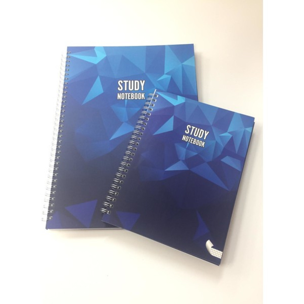 Dikkat Defter A5 Study Notebook Çift Taraflı Defter Çizgili + Kareli Spiralli Defter Fiyatı