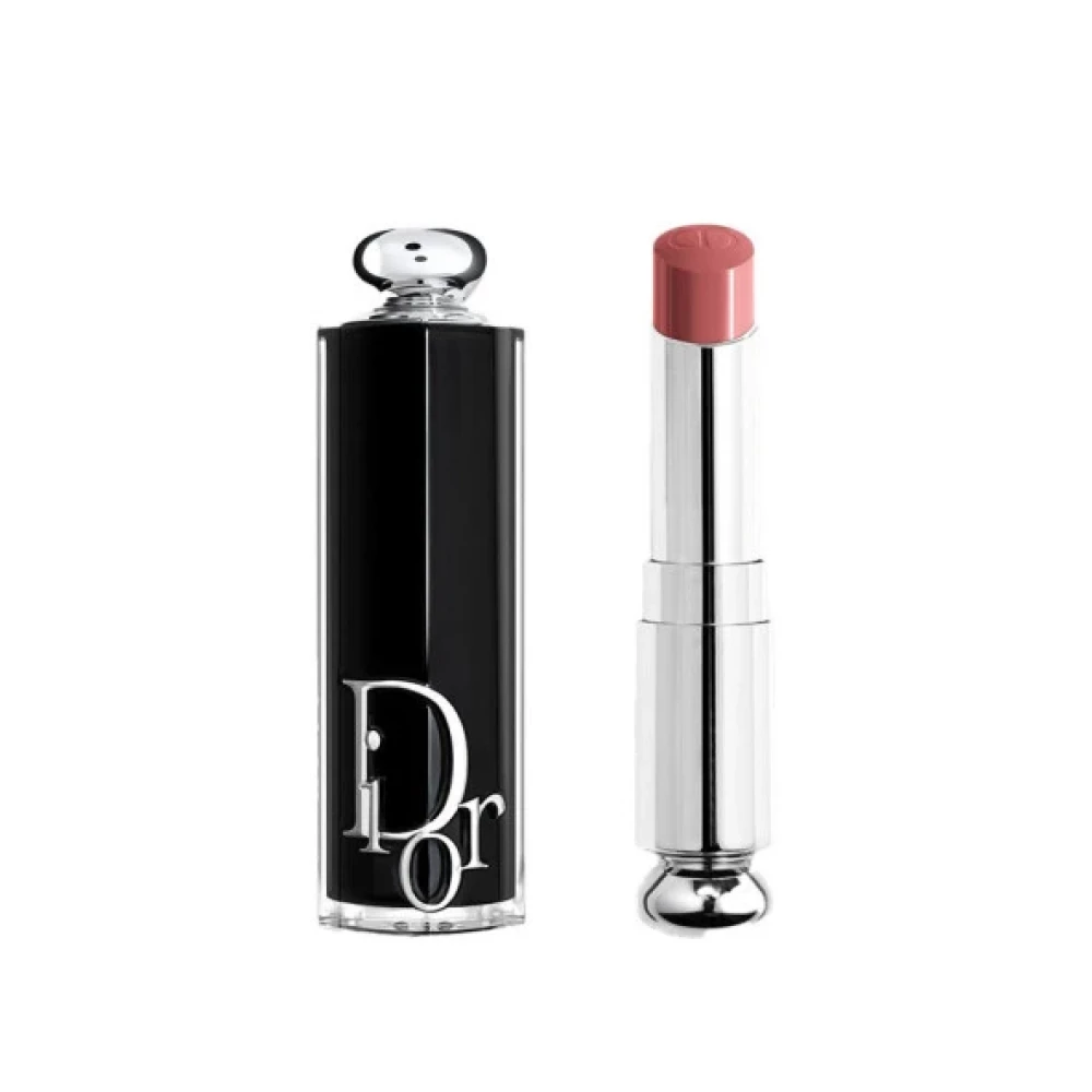 Dior Rouge Dior Addict Shine Lipstick 422 Ruj Rujlar & Dudak Parlatıcıları Fiyatı
