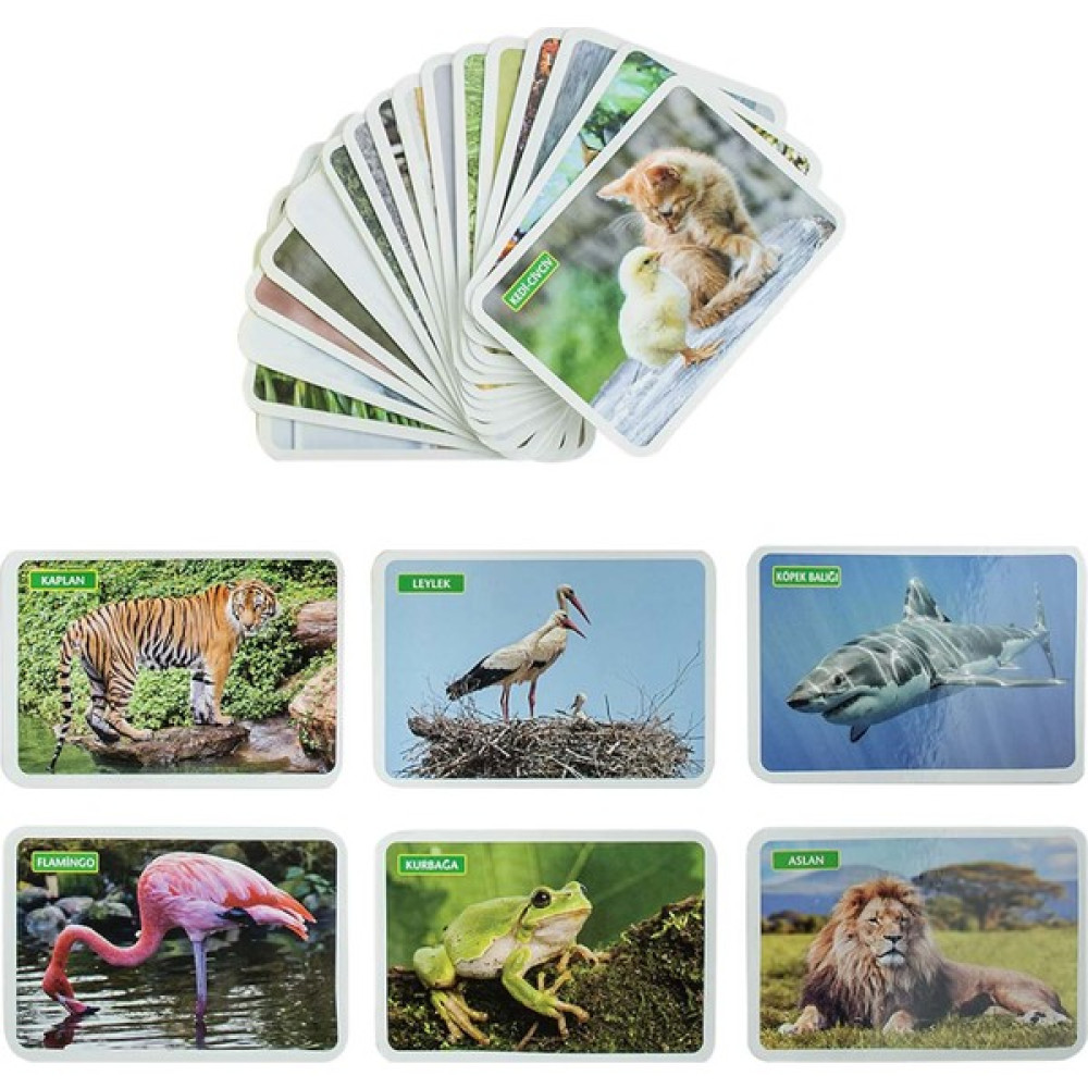 Diytoy İlk 50 Hayvan Eğitici Kartlar Bebek Oyuncakları Fiyatı