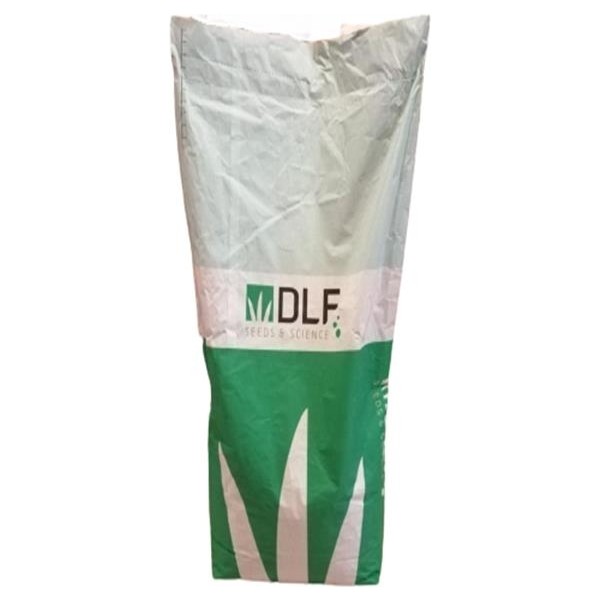 DLF Üçgül Tohumu (250 Gr) Süs Yoncası ( Trifolium Repens ) - 250 gr Diğer Fiyatı