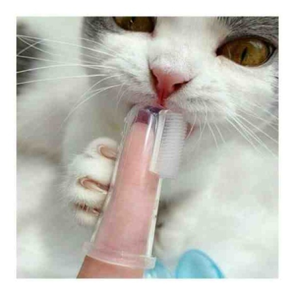 DMR Kedi Köpek Diş Temizleme Fırçası Silikon Parmak Fırçası Ağız Hijyeni Evcil Hayvan Ürünleri Fiyatı