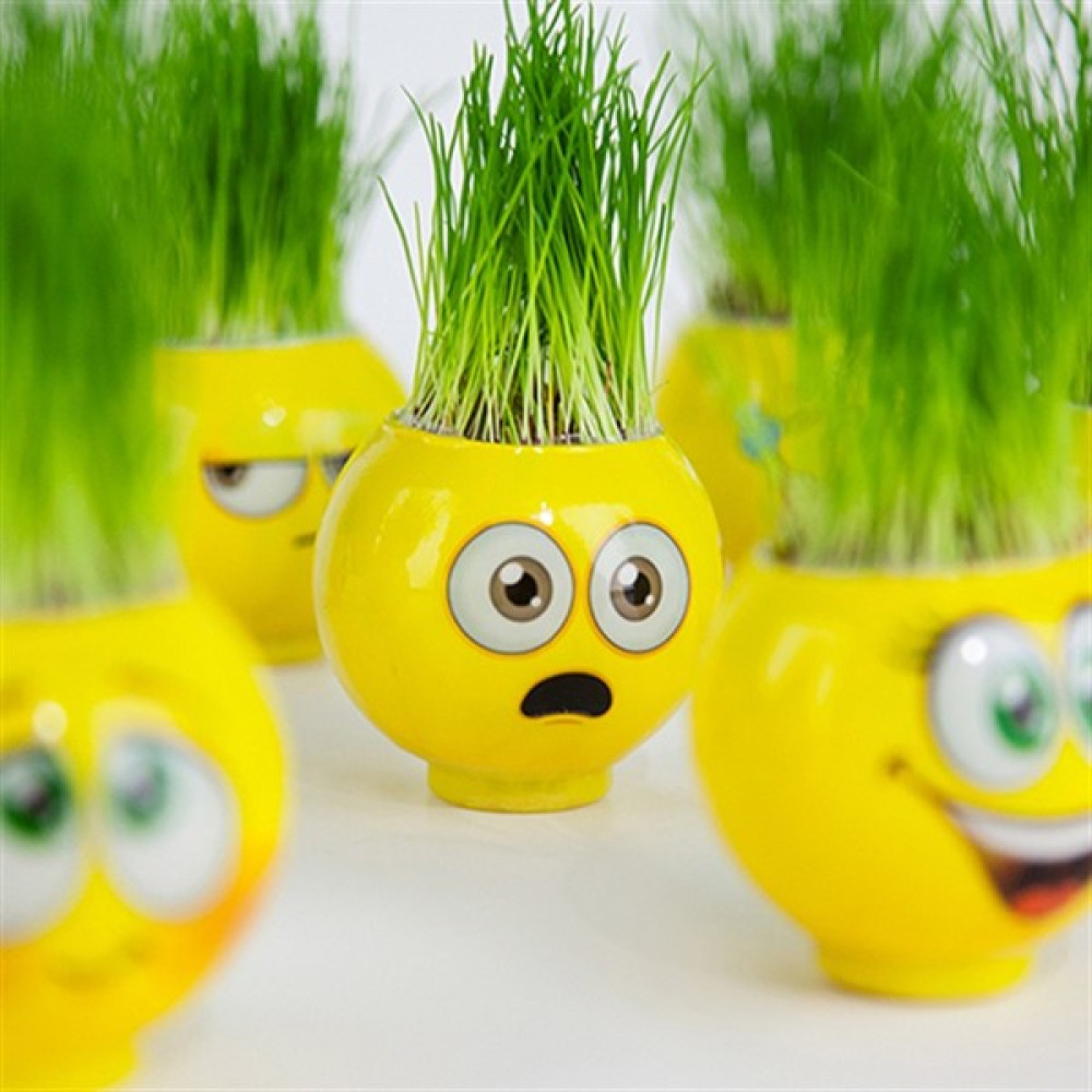 Dnzstore Emoji Kafa Çılgın Çim Adam - Sarı Oto Boyaları Fiyatı