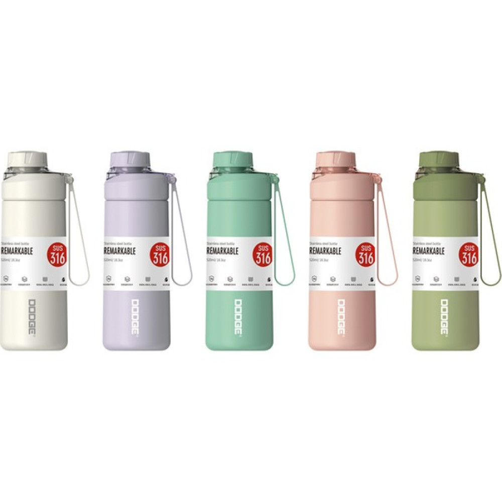 Dodge Matara Paslanmaz Çelik 520 Ml. (5 Karışık Renk/desen) DB-23692-1 Adet Oto Boyaları Fiyatı