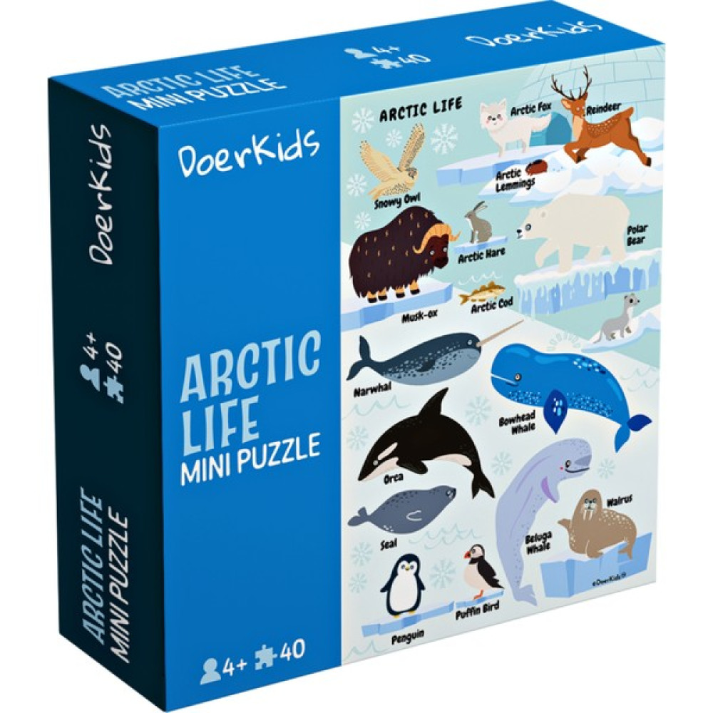 DoerKids Kuzey Kutbu Hayvanları Mini Puzzle | 40 Parça 4+ Yaş Eğitici Oyuncak Fiyatı