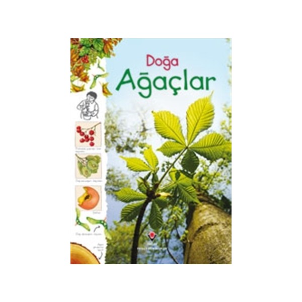 Doğa - Ağaçlar Kitabı Laura Howell Yazılı 76 Sayfa Ciltsiz Eğitim İçeriği Diğer Fiyatı
