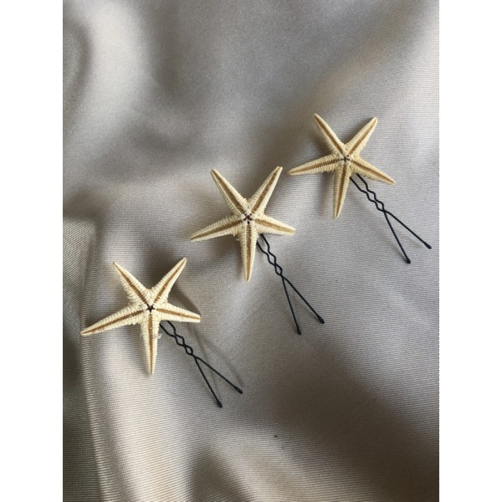 Doğa Art & Craft Gerçek Deniz Yıldızı Firkete Saç Aksesuarı ( 3 Adet ) Toka, Taç & Saç Bandı Fiyatı