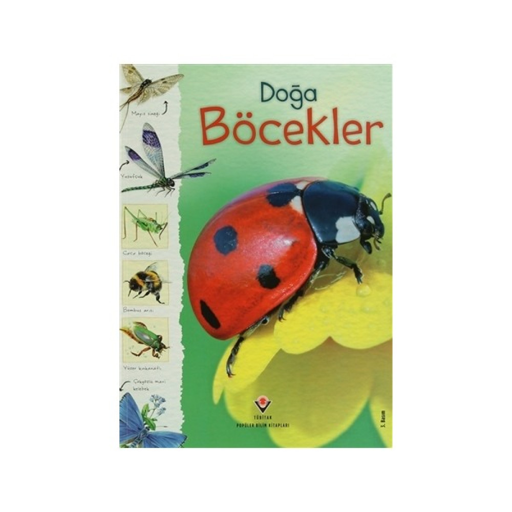 Doğa: Böcekler - Louie Stowell Okul Öncesi Eğitici & Öğretici Kitaplar Fiyatı