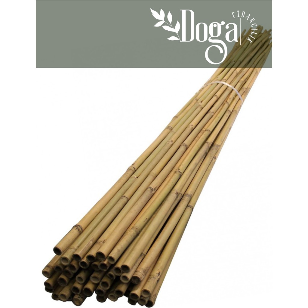 Doğa Fidancılık 20 Adet Bambu Bitki Fidan Destek Çubuğu 1 Metre - 1 Adet Fidan Fiyatı