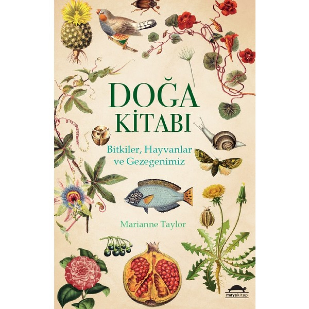 Doğa Kitabı - Marianne Taylor Akademik Fiyatı
