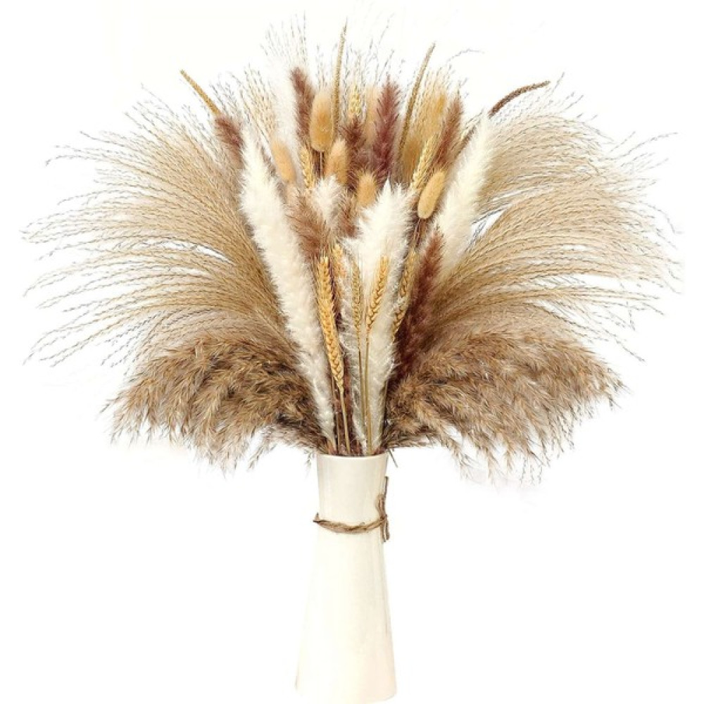 Doğal Kurutulmuş Pampas Çim Kurutulmuş Çiçekler Dekorasyon Kabarık Bitkiler Kurutulmuş Çiçekler Vazolar Dekor Buket Boho Dekor Için Masa (Yurt Dışı... Evcil Hayvan Ürünleri Fiyatı