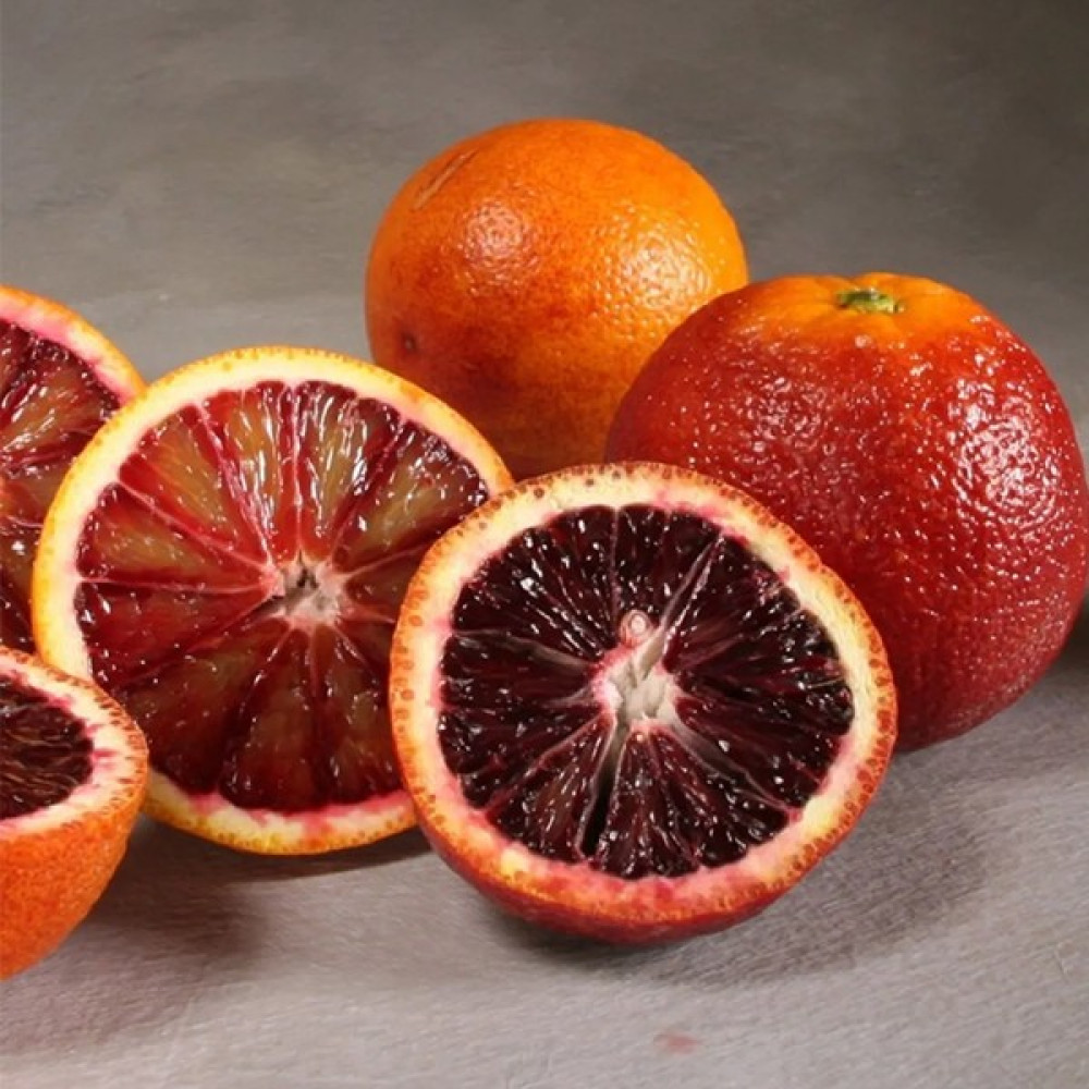 Doğan Fidancılık Bodur Tipte Yemesi Mükemmel Içi Dışı Kırmızı Blood Orange Red Kan Portakalı Fidanı Fidan Fiyatı