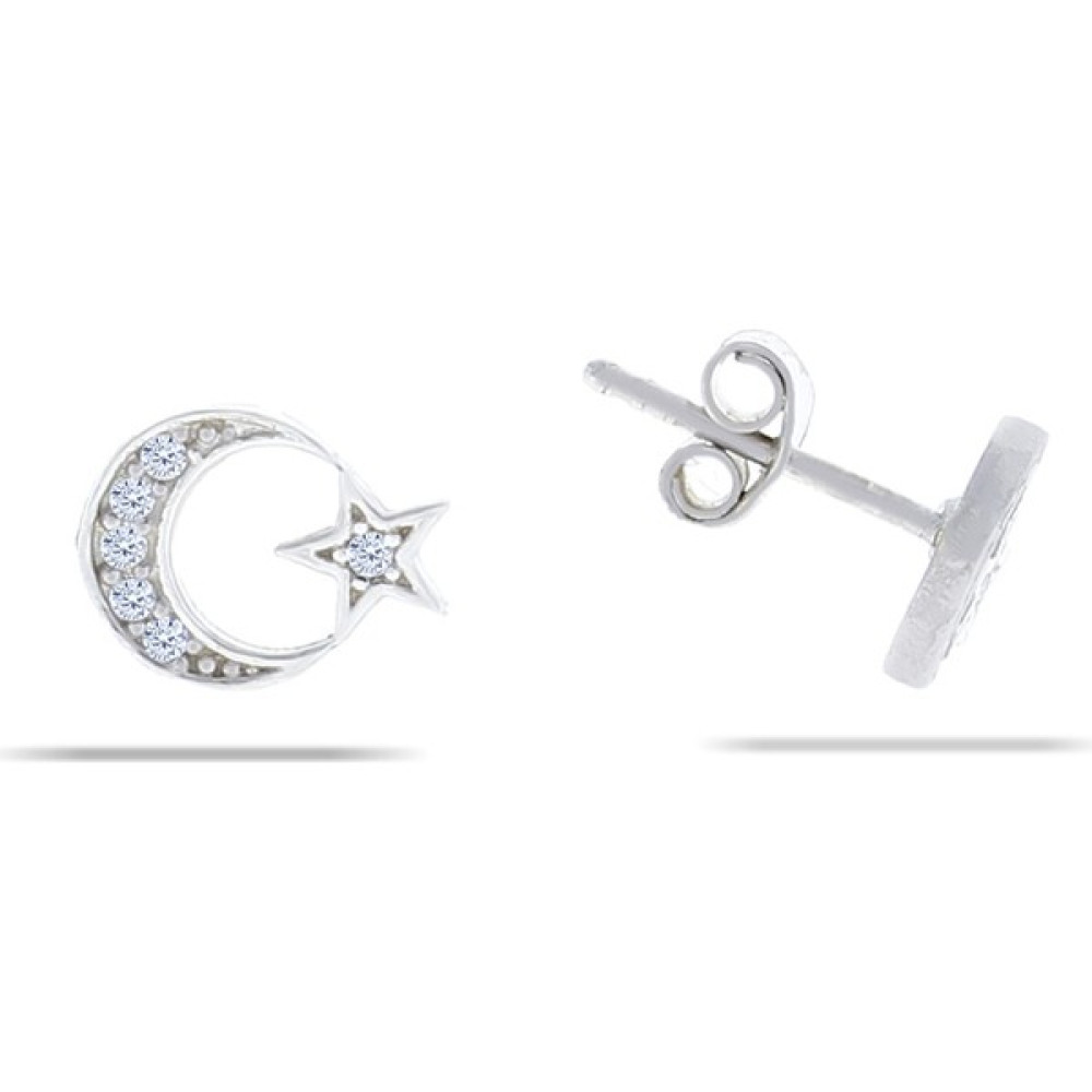 Doğan Silver Kadın Gümüş Ay Yıldız Mini Küpe DGN20654 Gümüş Küpe Fiyatı