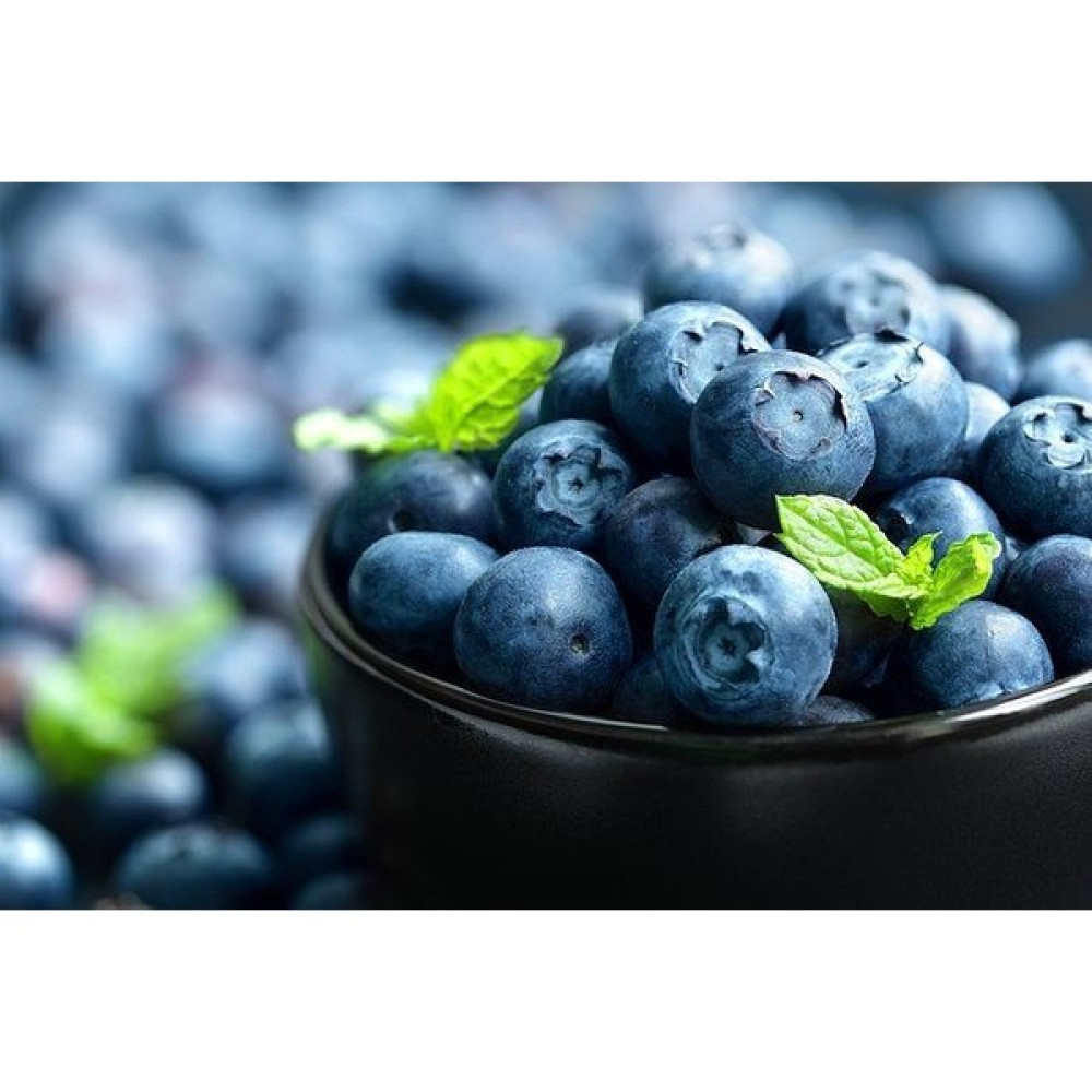 Doğaşık Mavi Yaban Mersini Meyve Fidanı (50-60CM) "vaccinium Myrtillus" Fidan Fiyatı