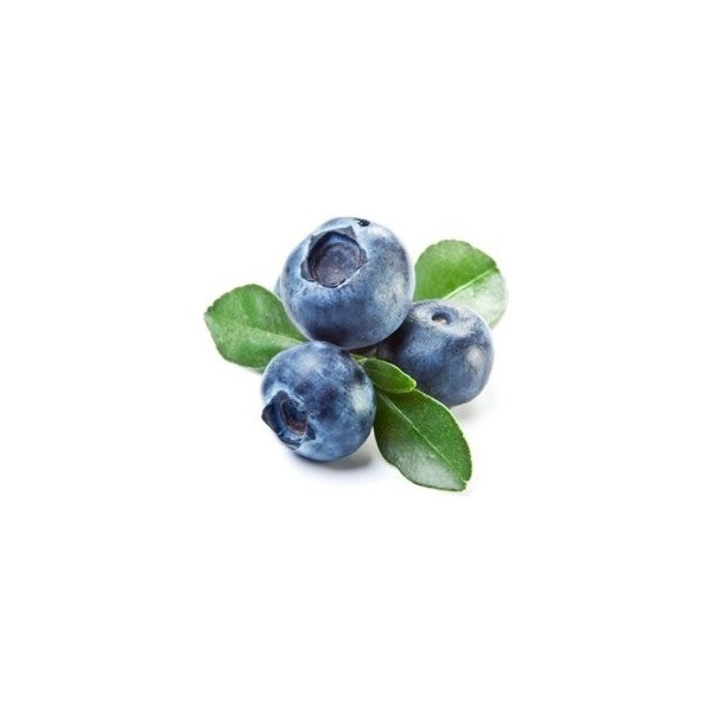 Doğaşık Mavi Yaban Mersini Meyve Fidanı (50-60CM) "vaccinium Myrtillus" 2 Adet Fidan Fiyatı