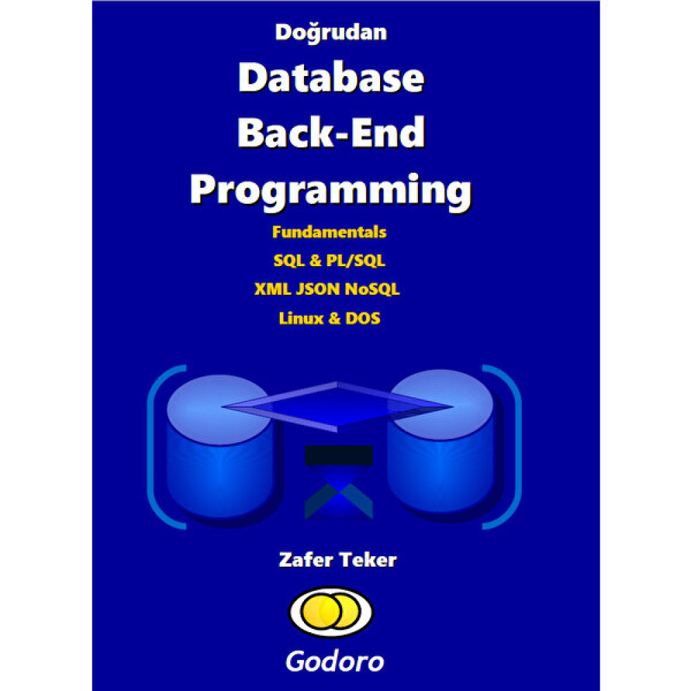 Doğrudan Database Back-End Programming Bilgisayar Kitapları Fiyatı