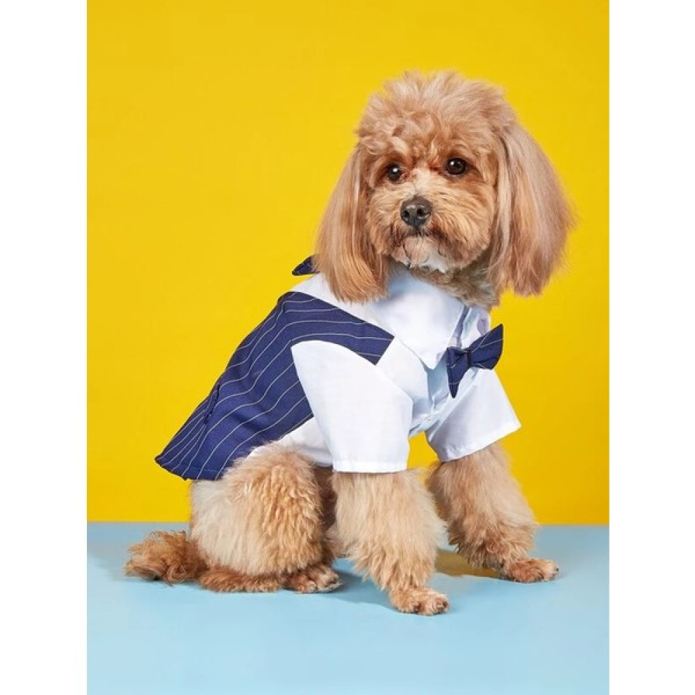 Dolce Pets Kedi Köpek Kıyafeti Köpek Takım Elbise Lacivert - 2XL Evcil Hayvan Ürünleri Fiyatı