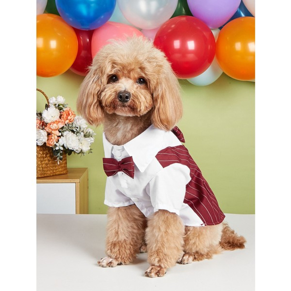 Dolce Pets Kedi Köpek Kıyafeti Köpek Takım Elbise Lacivert - Bordo - L Evcil Hayvan Ürünleri Fiyatı
