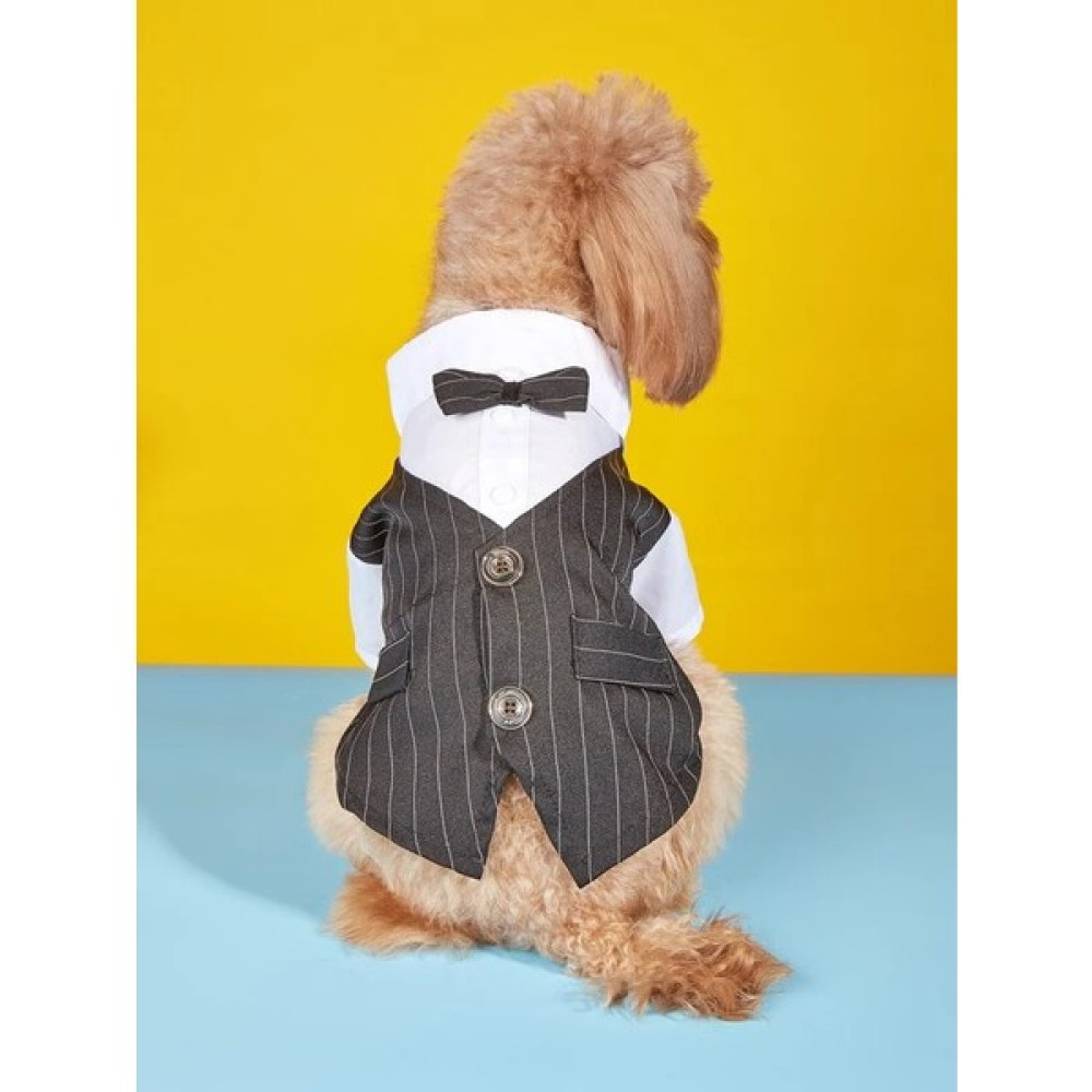 Dolce Pets Kedi Köpek Kıyafeti Köpek Takım Elbise Lacivert - Siyah - 2XL Evcil Hayvan Ürünleri Fiyatı