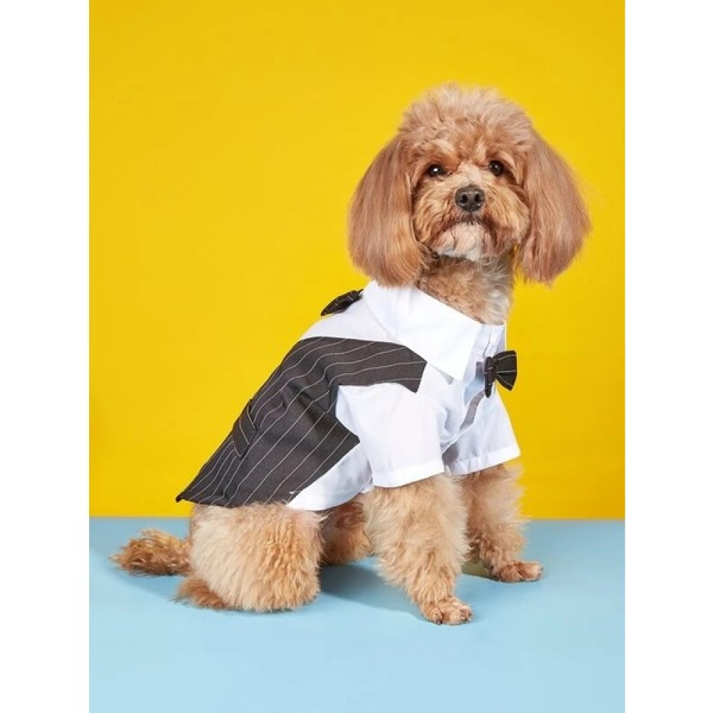 Dolce Pets Kedi Köpek Kıyafeti Köpek Takım Elbise Lacivert - Siyah - S Evcil Hayvan Ürünleri Fiyatı