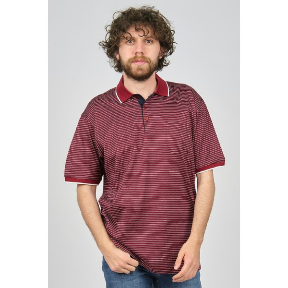 Dolfini Erkek Cep Detaylı Polo Yaka T-Shirt 4841528 Bordo Erkek T-shirt Fiyatı