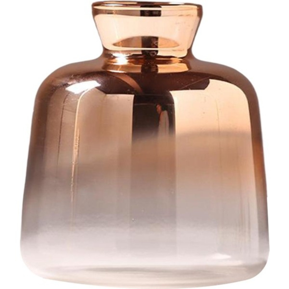 Dolity Bitki Terrarium Konteyner, Hava Ekici Cam Vazo, Saksı Bitki Tutucular 11X9 cm Ağız 4 cm (Yurt Dışından) - Beyaz Vazo Fiyatı