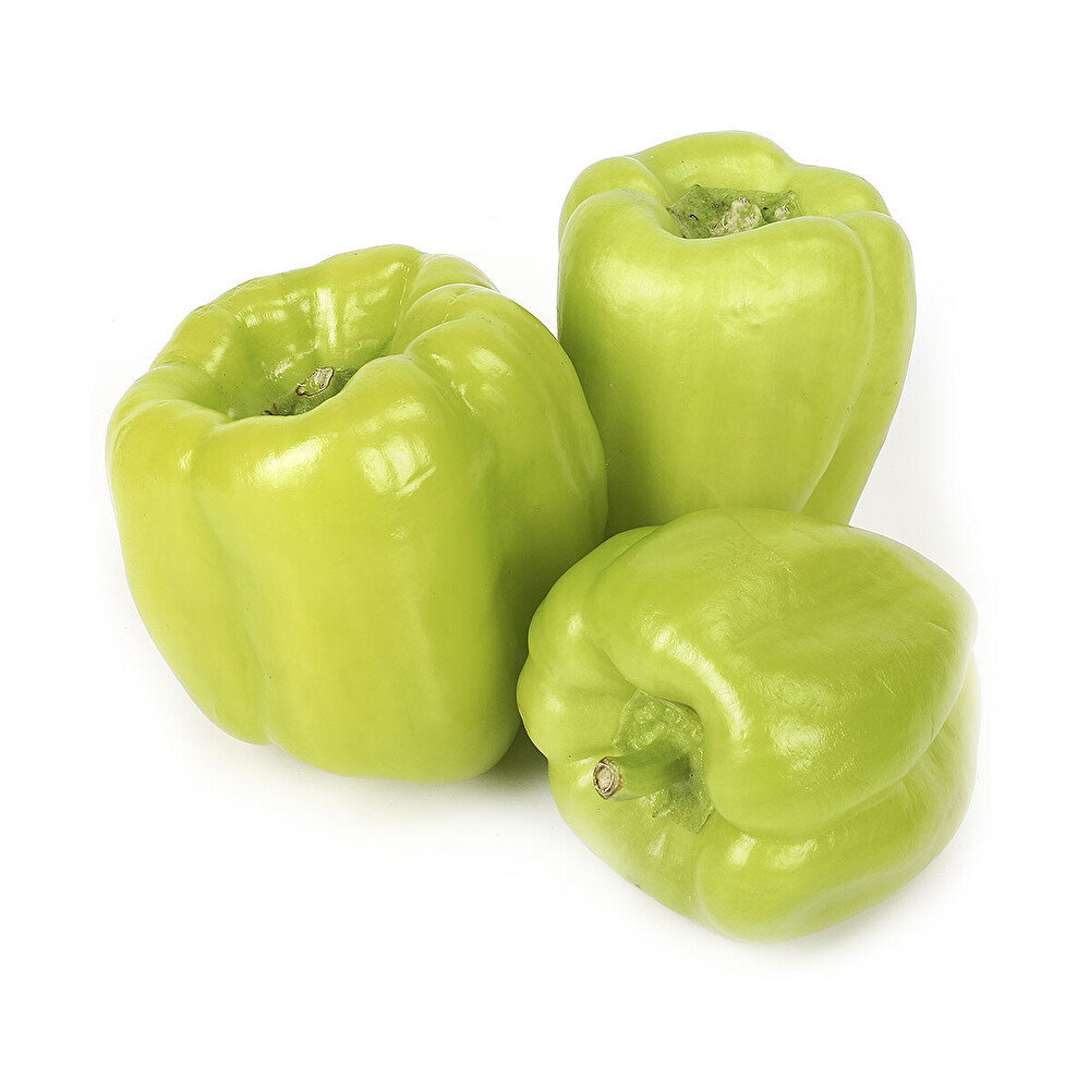Dolma Biber Kg Sebze Fiyatı