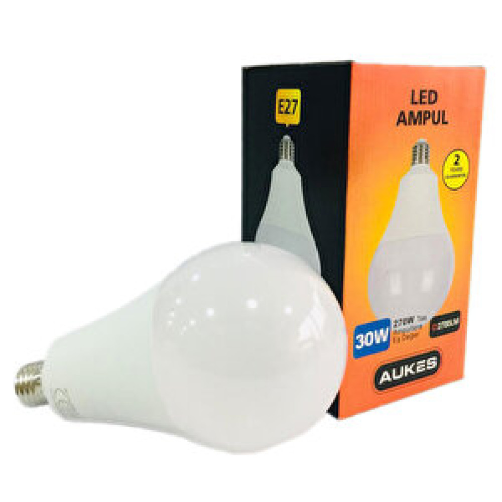 Dolunay Elektrik Dolunay Led E27 30W/65K 2700Lm Led Aydınlatmalar Fiyatı
