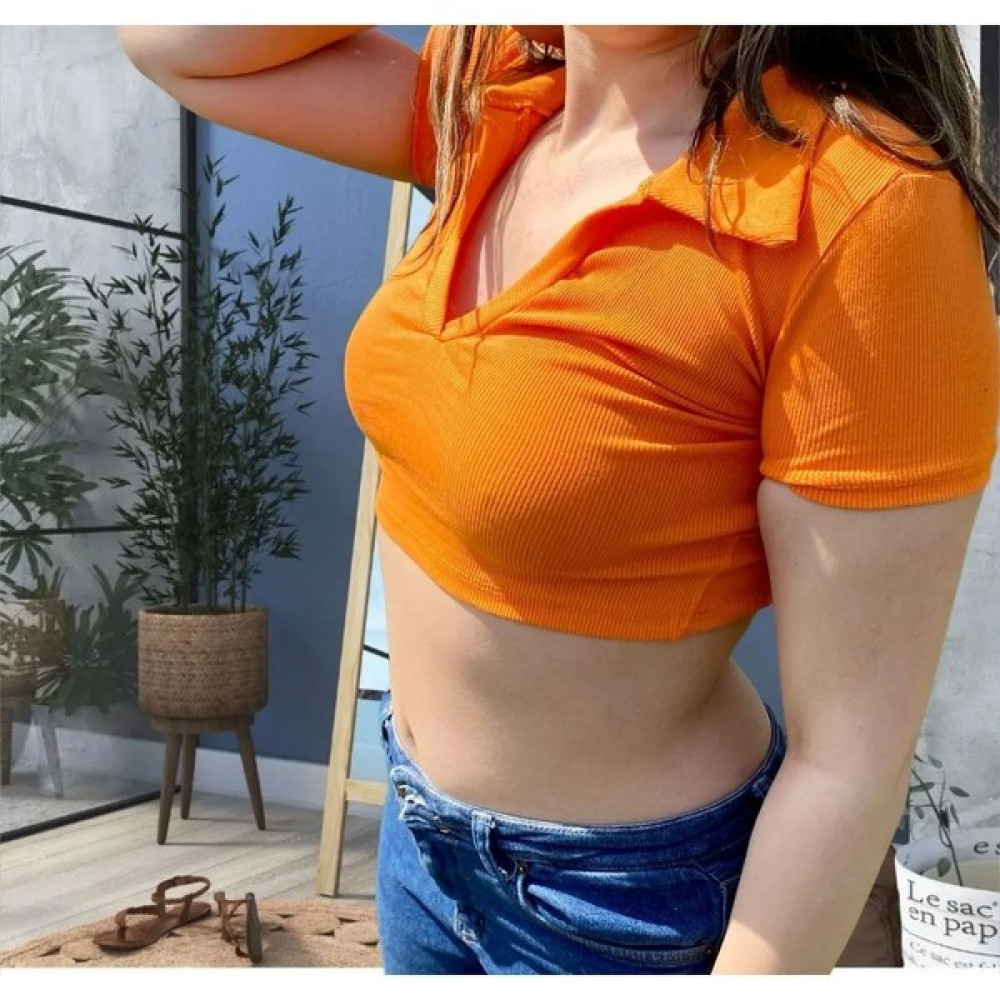 Donna Tocca Polo Yaka Crop Bluz Fiyatı
