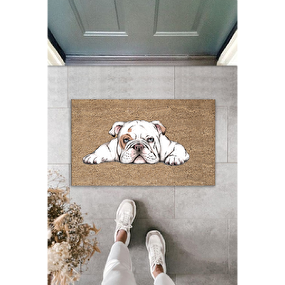 Dormot Home Çok Amaçlı Dekoratif Dijital Baskı Bej Köpek Dış Mekan Paspas Paspas Fiyatı