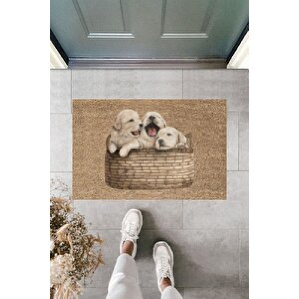 Dormot Home Modern Baskı - Bir Sepet Yavru - Karşılama Kapı Önü Paspası Paspas Fiyatı