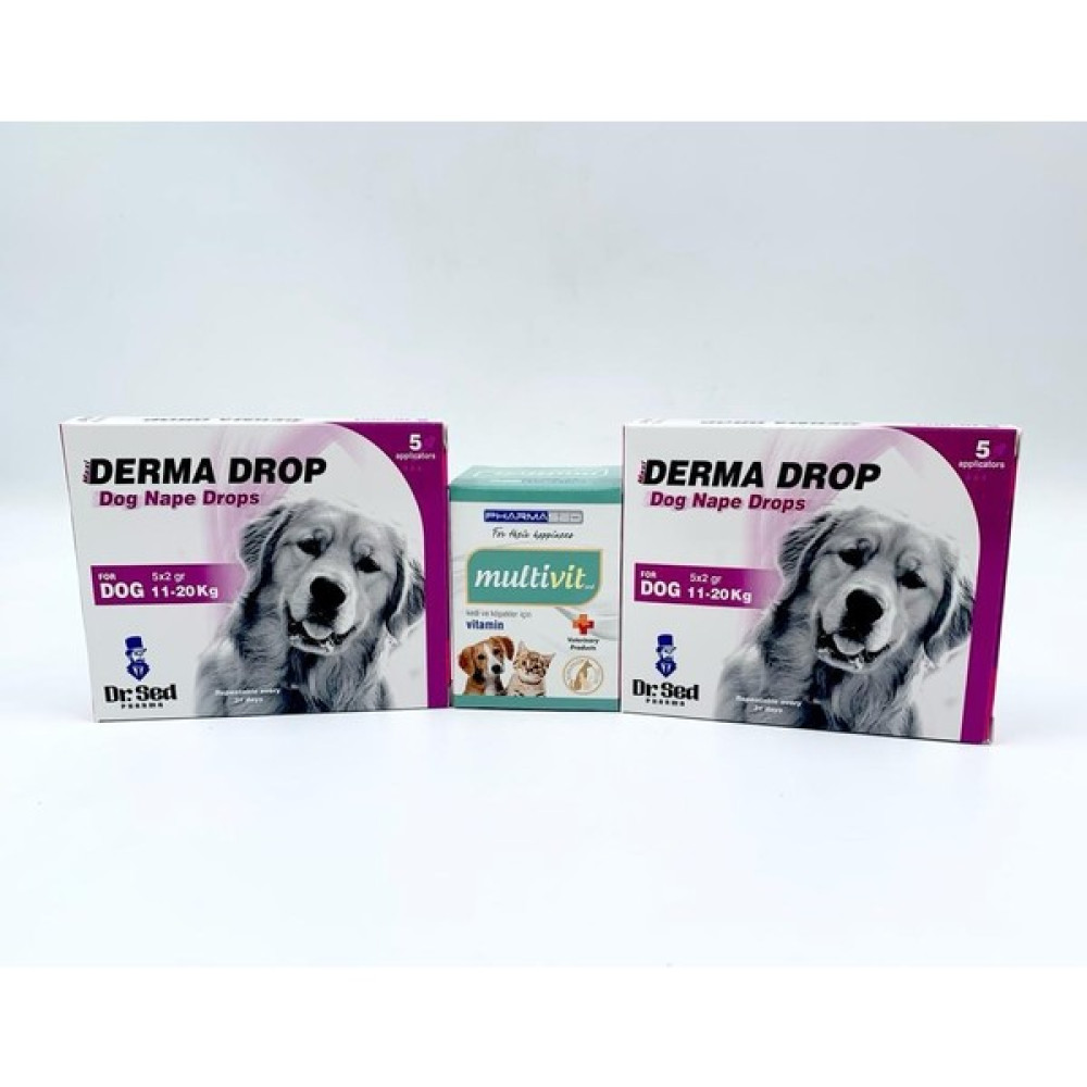 Dr Sed 11-20 kg  Köpek Ensedamla 2 Kutu + Pharmased Multivitamin Evcil Hayvan Ürünleri Fiyatı