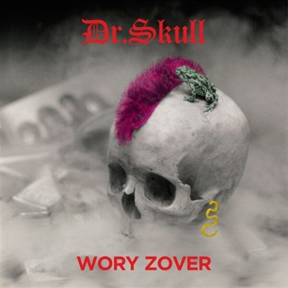Dr. Skull/Wory Zover Plak Pikap & Aksesuarları Fiyatı