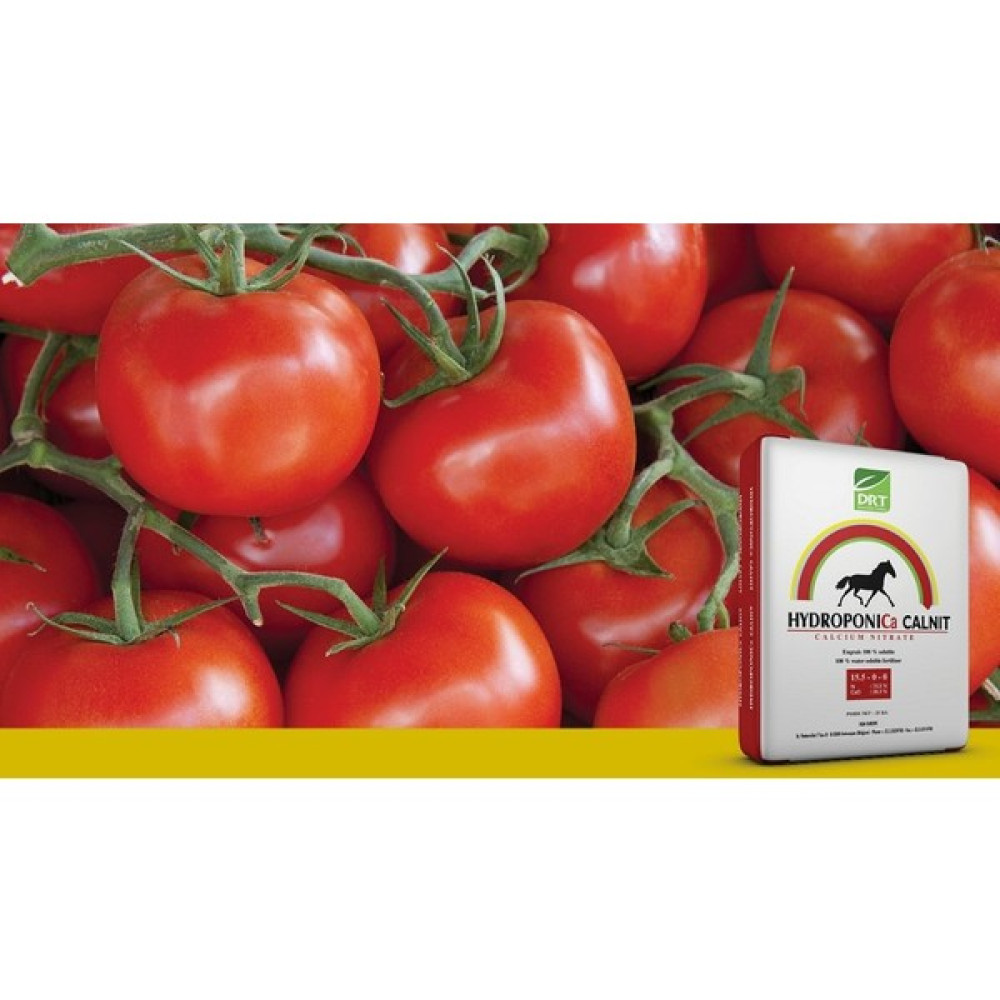 Dr. Tarsa Dr Tarsa Kalsiyum Nıtrat - 5 kg Oto Boyaları Fiyatı