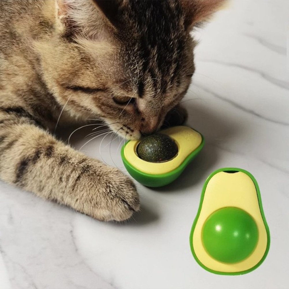 Dream Plus Avokado Şeklinde Catnipli Doğal Kedi Yalama Topu 6 cm Evcil Hayvan Ürünleri Fiyatı