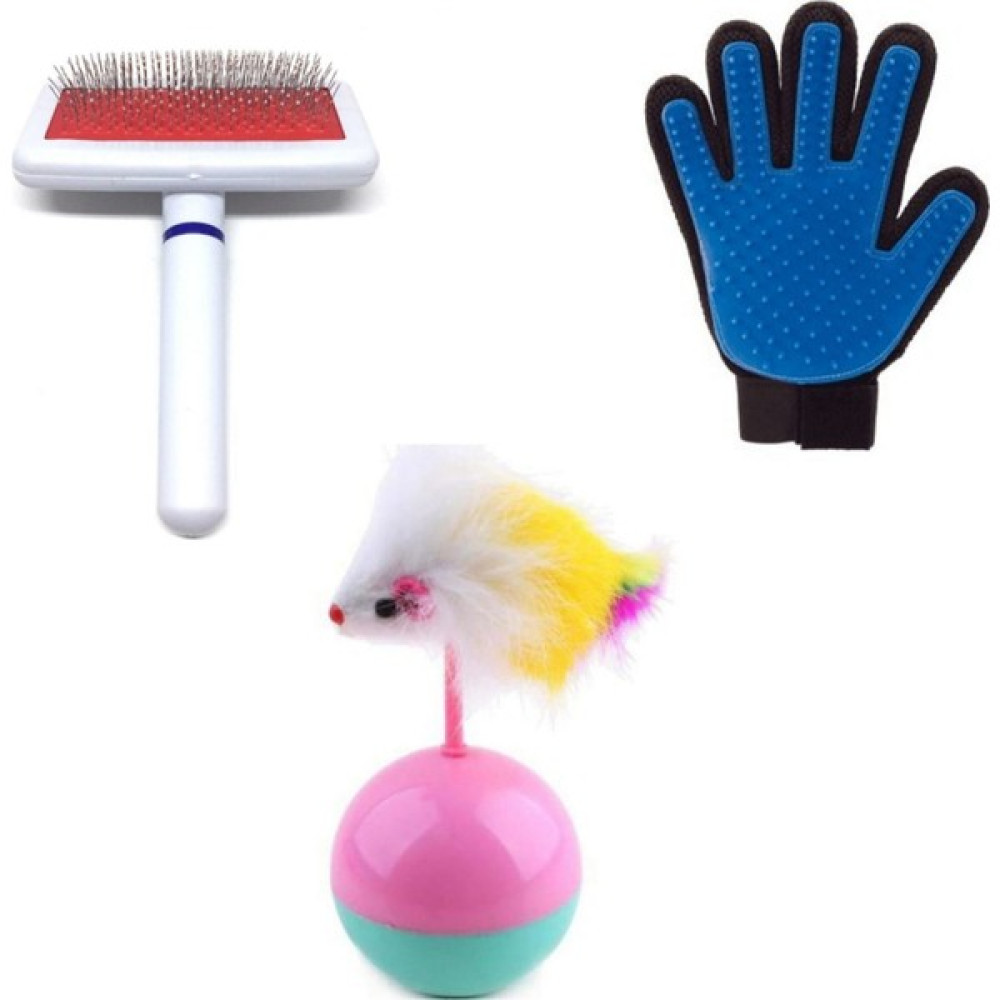 Dream Plus Kedi Hacıyatmaz Oyuncak Tarak ve Eldiven Seti Pati Set 2 Evcil Hayvan Ürünleri Fiyatı