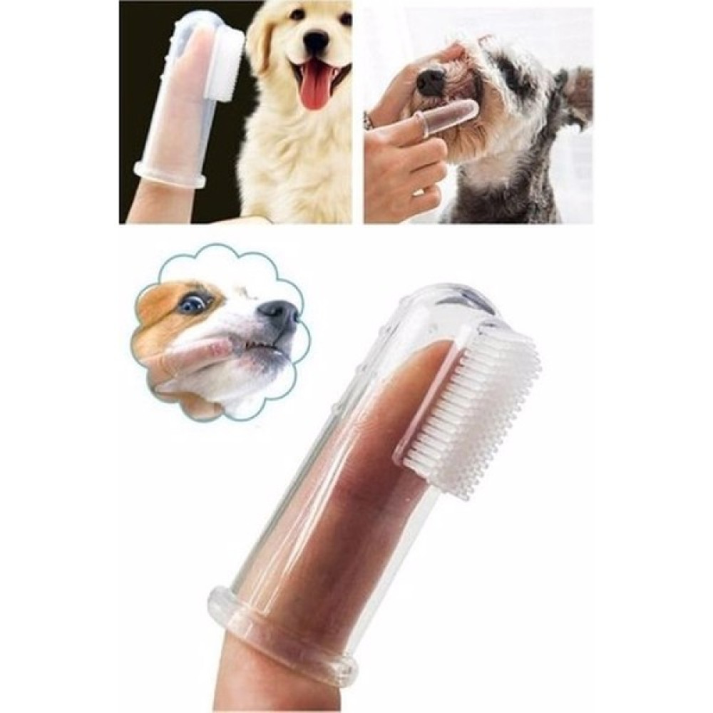 Dream Plus Kedi ve Köpek Parmak Diş Fırçası Saklama Kutulu Kolay Kullanımlı Evcil Hayvan Diş Bakım Fırçası Evcil Hayvan Ürünleri Fiyatı
