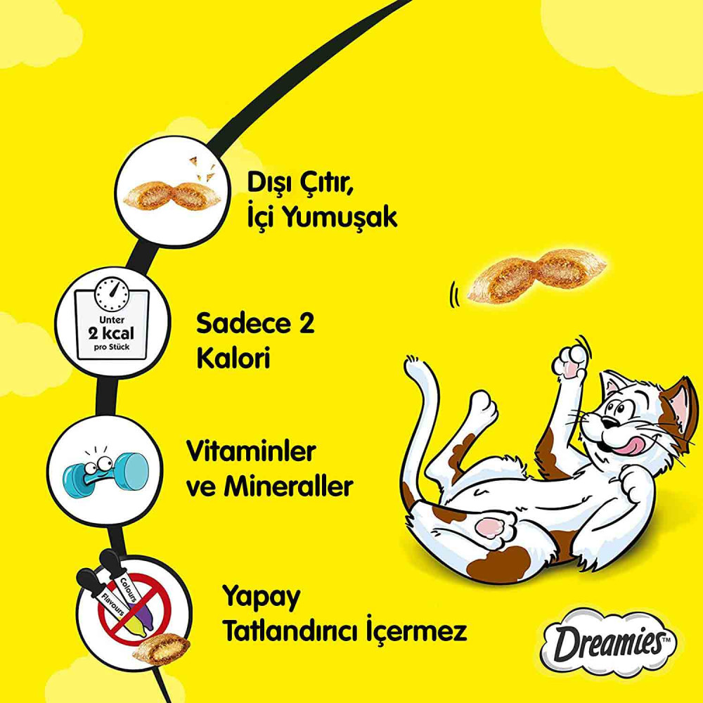 Dreamies Kedi Ödül Maması 60 gr Somon & Peynirli