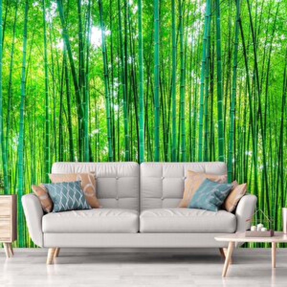 Dreamwall Bambu Orman Desenli Isı Ve Ses Yalıtımlı Sağlık Dostu Kumaş Poster Duvar Kağıdı 350x250 cm Duvar Kağıdı Fiyatı