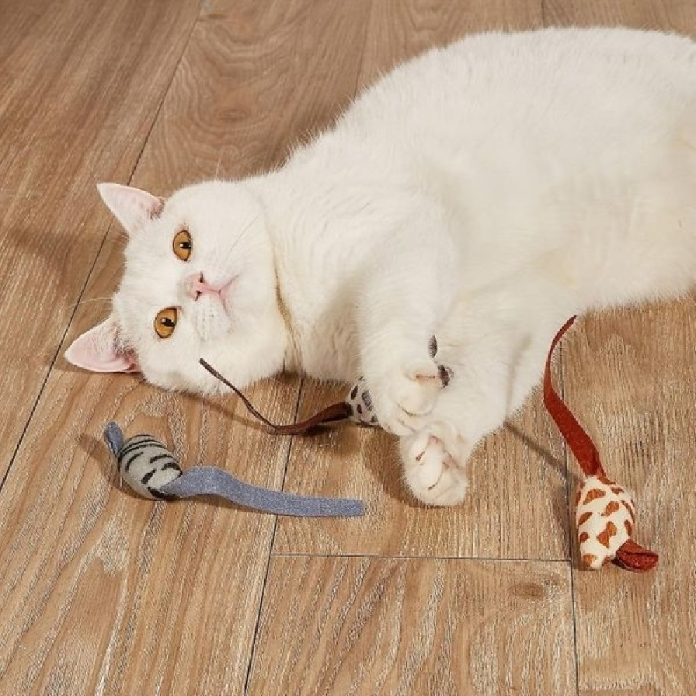 Droponi Peluş Fare Kedi Oyuncağı 3 Adet Oto Boyaları Fiyatı