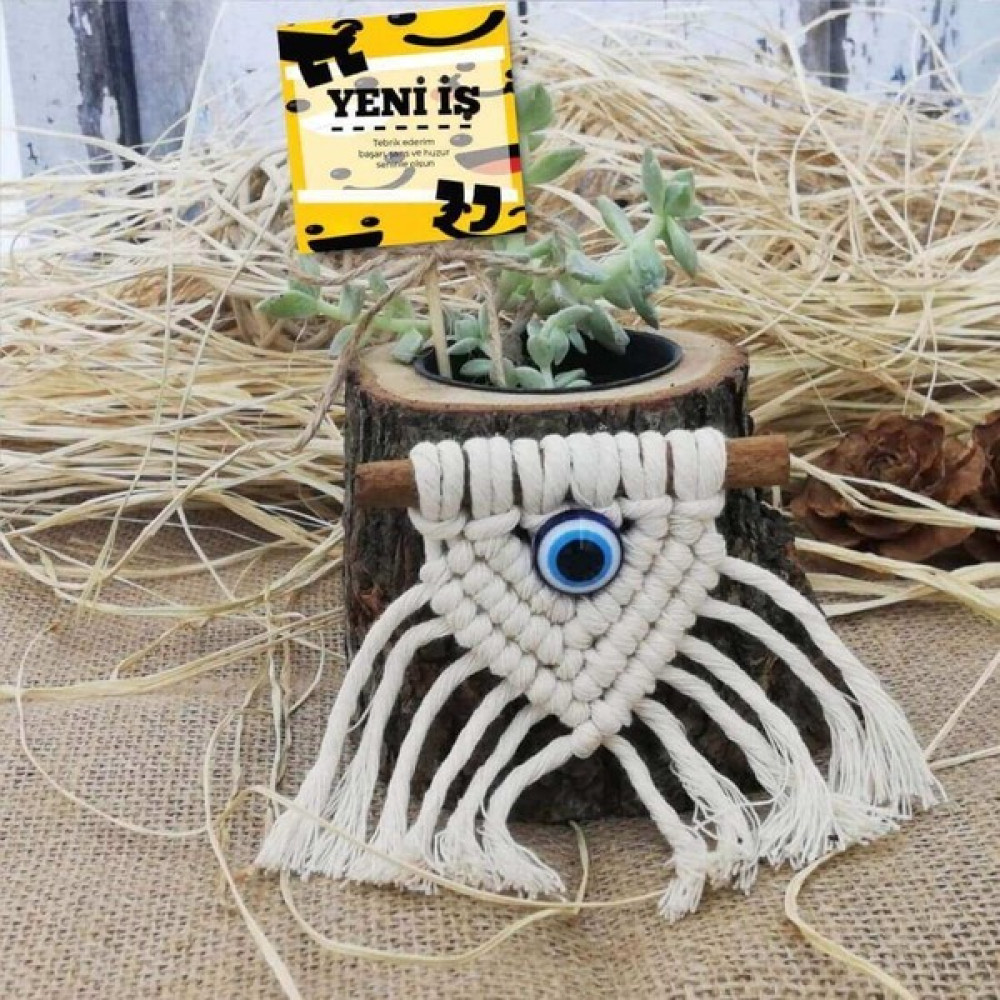E-Hediyeci Yeni Iş Hediyesi Naturel Saksıda Sukulent Bitki Fiyatı